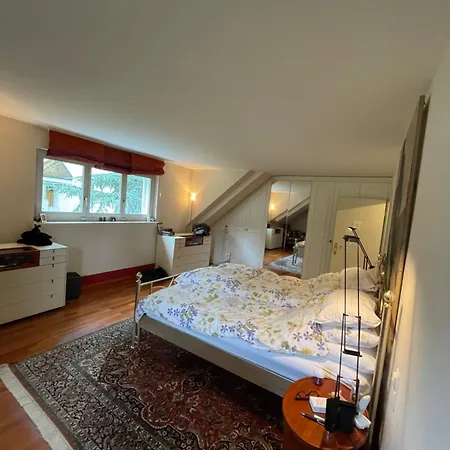 Spacious&stylish In Zürich