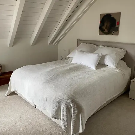 Apartment Spacious And Stylish In Zurich