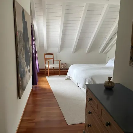 Spacious And Stylish In * Zurich