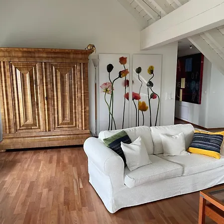 Spacious And Stylish In Zurich