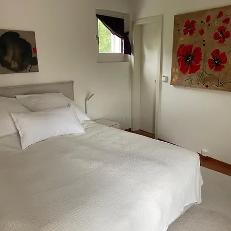 Spacious And Stylish In * Zurich