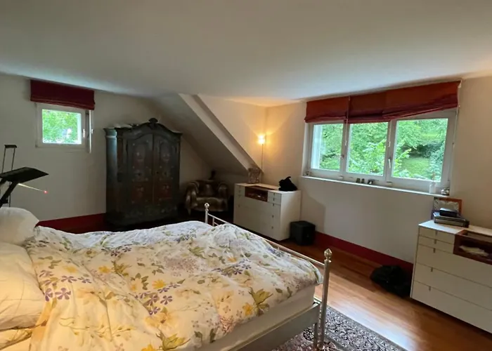 Spacious And Stylish In Zurich