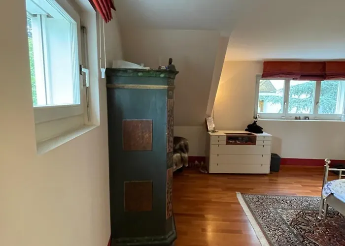 Spacious And Stylish In Appartement Zurich