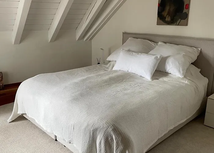 Apartment Spacious And Stylish In Zurich