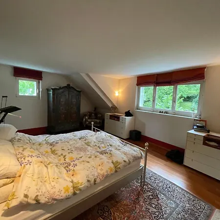 Spacious And Stylish In Zurich