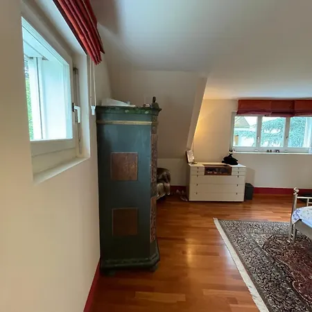 Spacious And Stylish In Apartment Zurich