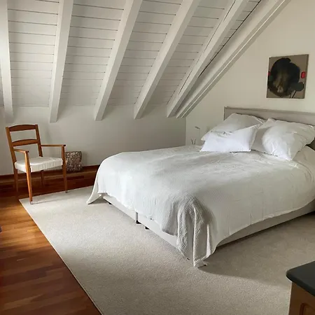 Apartment Spacious And Stylish In