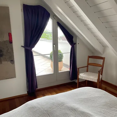 Apartment Spacious And Stylish In Zurich